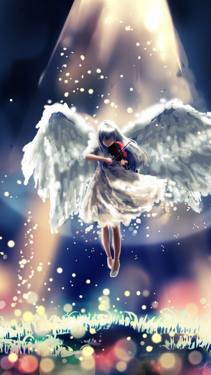 Pájaro Blanco y Negro en la Nieve Blanca. Wallpaper in 720x1280 Resolution