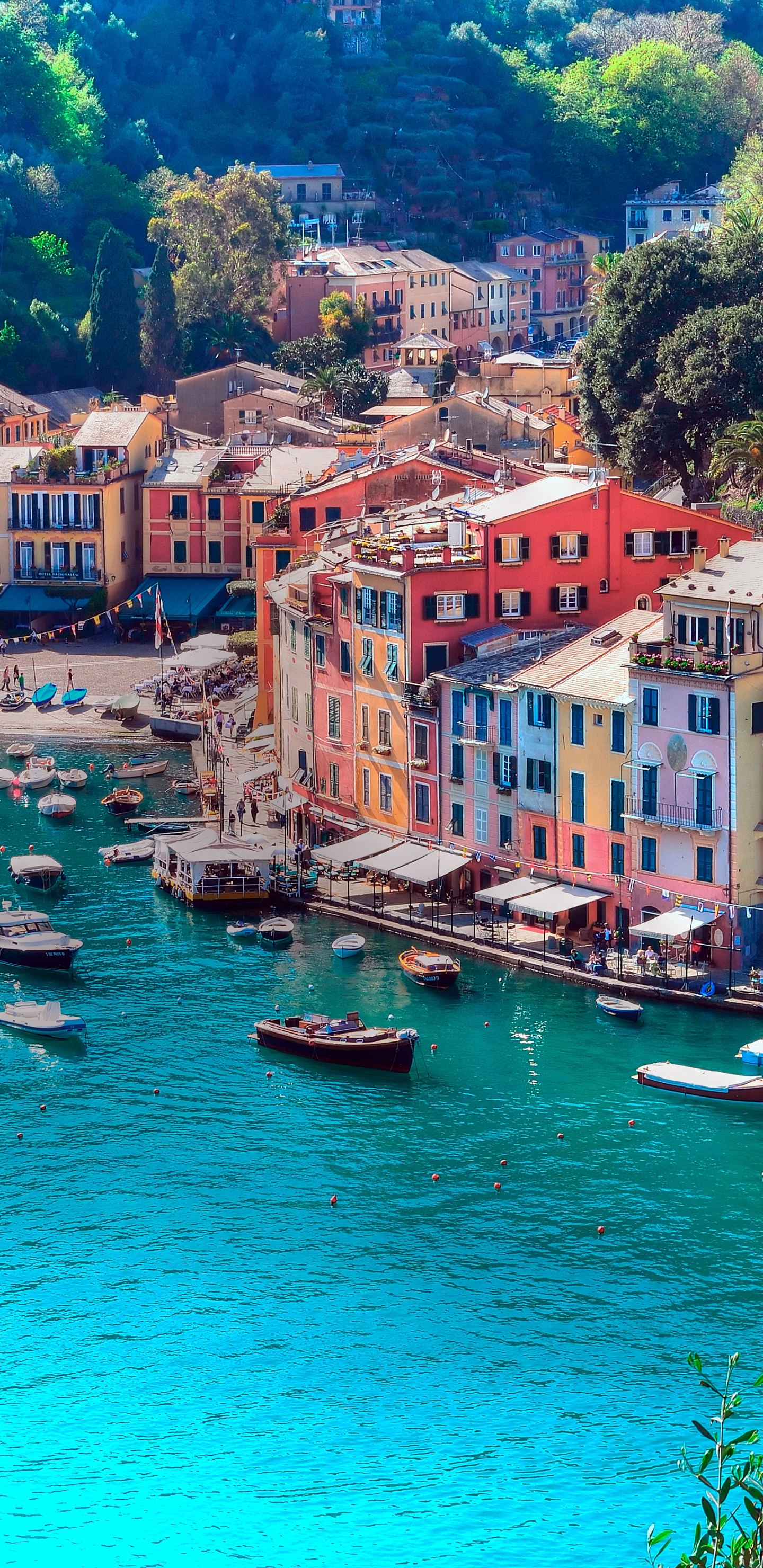 Bateaux Sur L'eau Près Des Maisons Pendant la Journée. Wallpaper in 1440x2960 Resolution