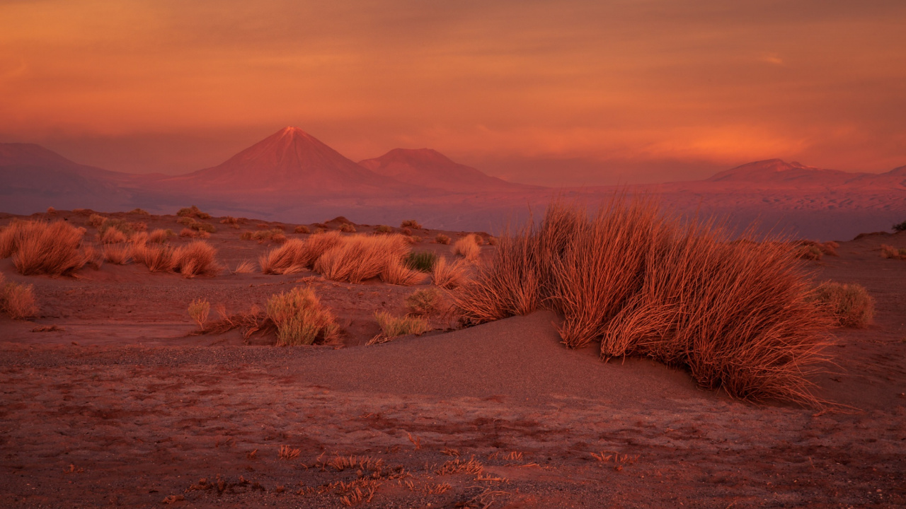 Brown Grass Field Near Mountain During Daytime. Wallpaper in 1280x720 Resolution