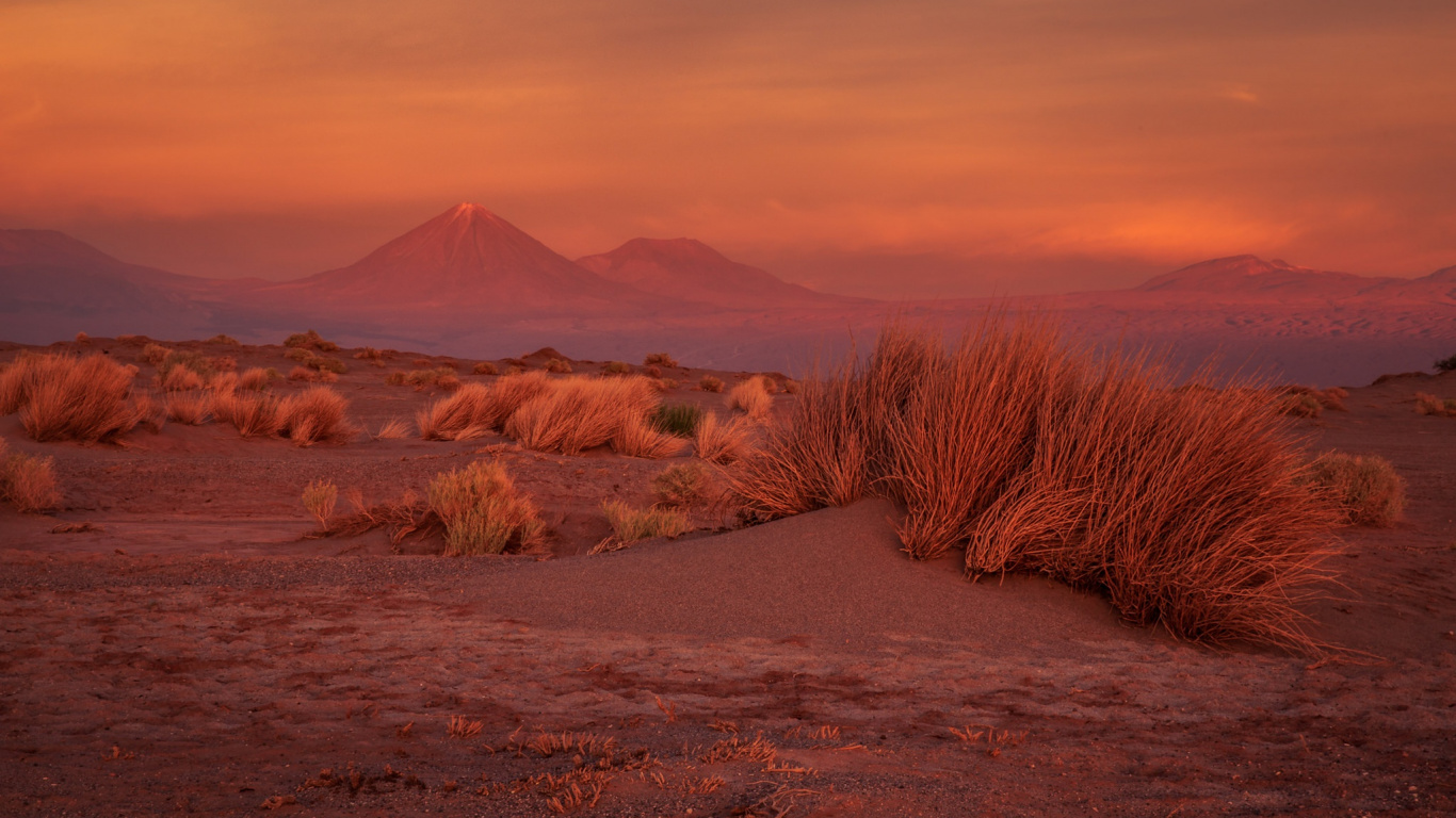 Brown Grass Field Near Mountain During Daytime. Wallpaper in 1366x768 Resolution
