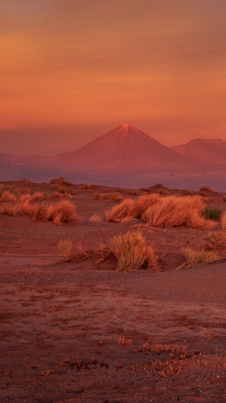 Brown Grass Field Near Mountain During Daytime. Wallpaper in 720x1280 Resolution