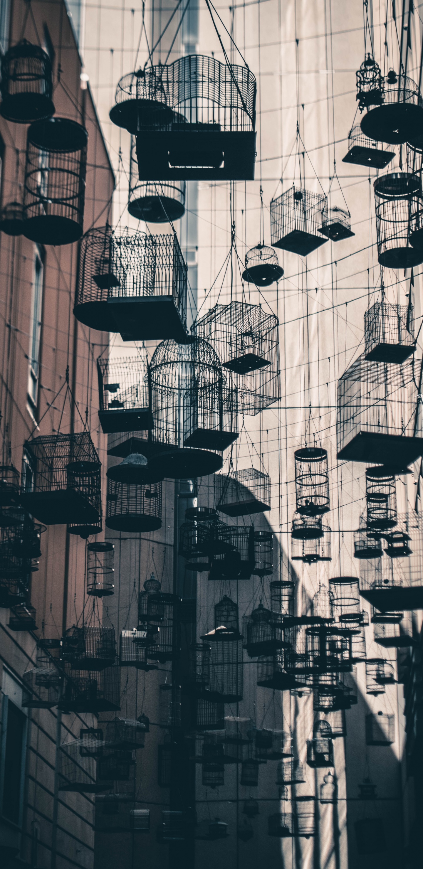 Textil a Cuadros Blanco y Negro. Wallpaper in 1440x2960 Resolution