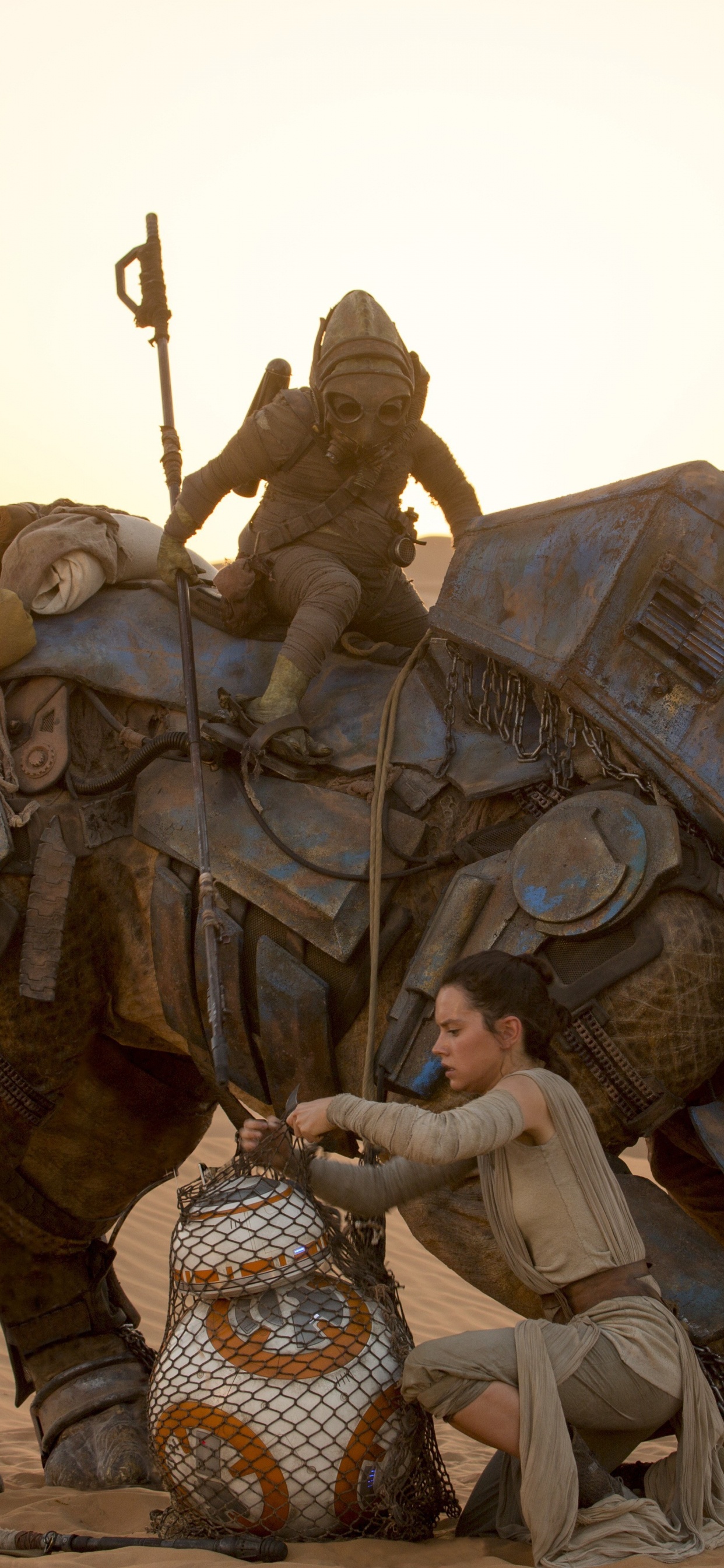 Teedo Star Wars, Rey, BB-8, Teedo, Star Wars. Wallpaper in 1242x2688 Resolution