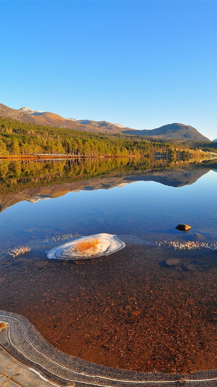 塔恩, 储存器, 荒野, 反射, 早上 壁纸 750x1334 允许