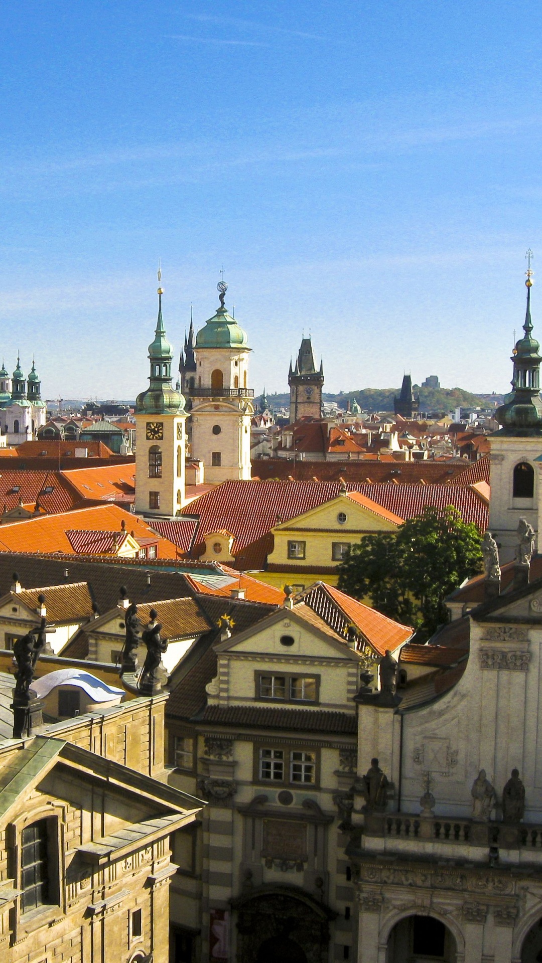 Edificio de Cúpula Verde y Blanca. Wallpaper in 1080x1920 Resolution