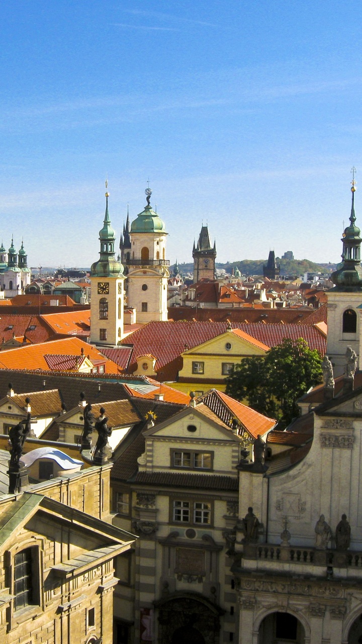 Bâtiment de Dôme Vert et Blanc. Wallpaper in 720x1280 Resolution