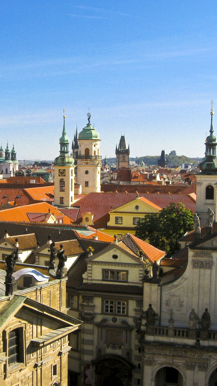 Grün-weißes Kuppelgebäude. Wallpaper in 750x1334 Resolution