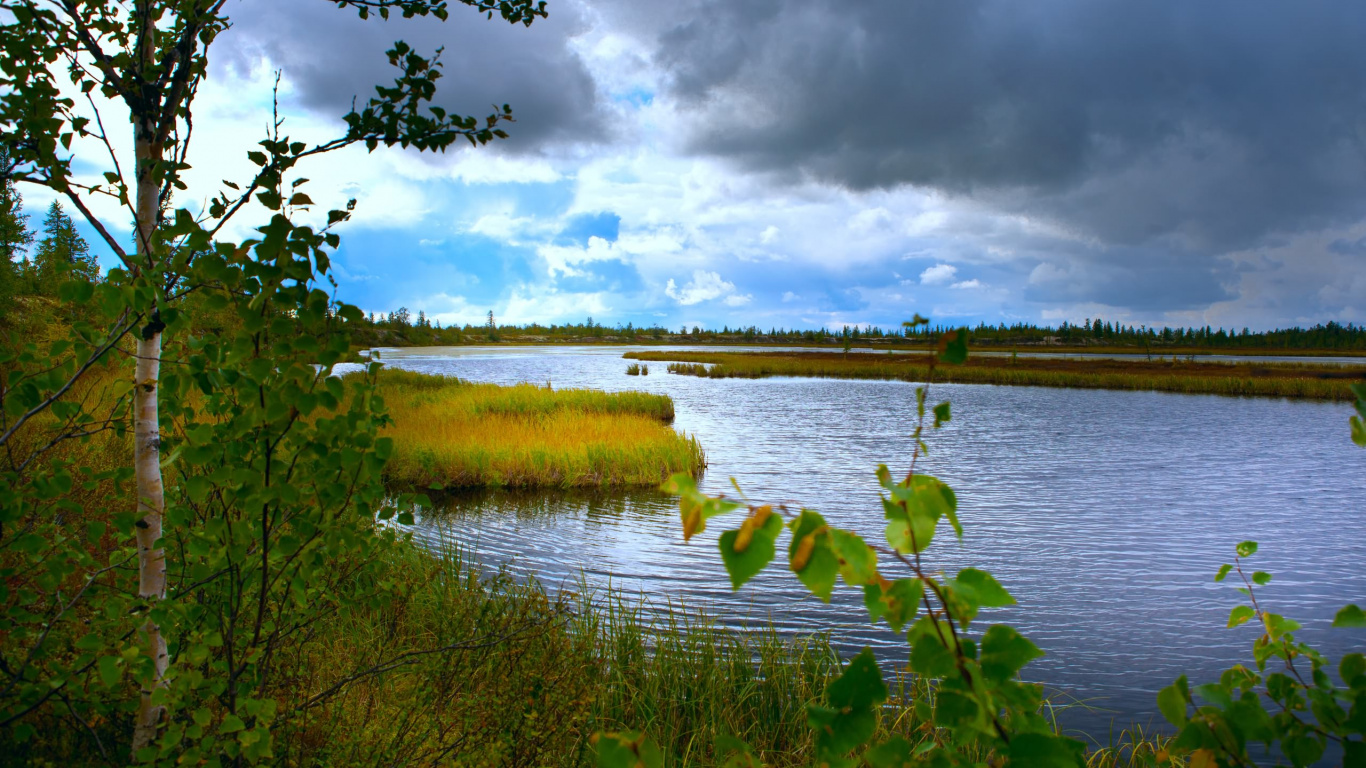 Green Grass Near Body of Water Under Cloudy Sky During Daytime. Wallpaper in 1366x768 Resolution