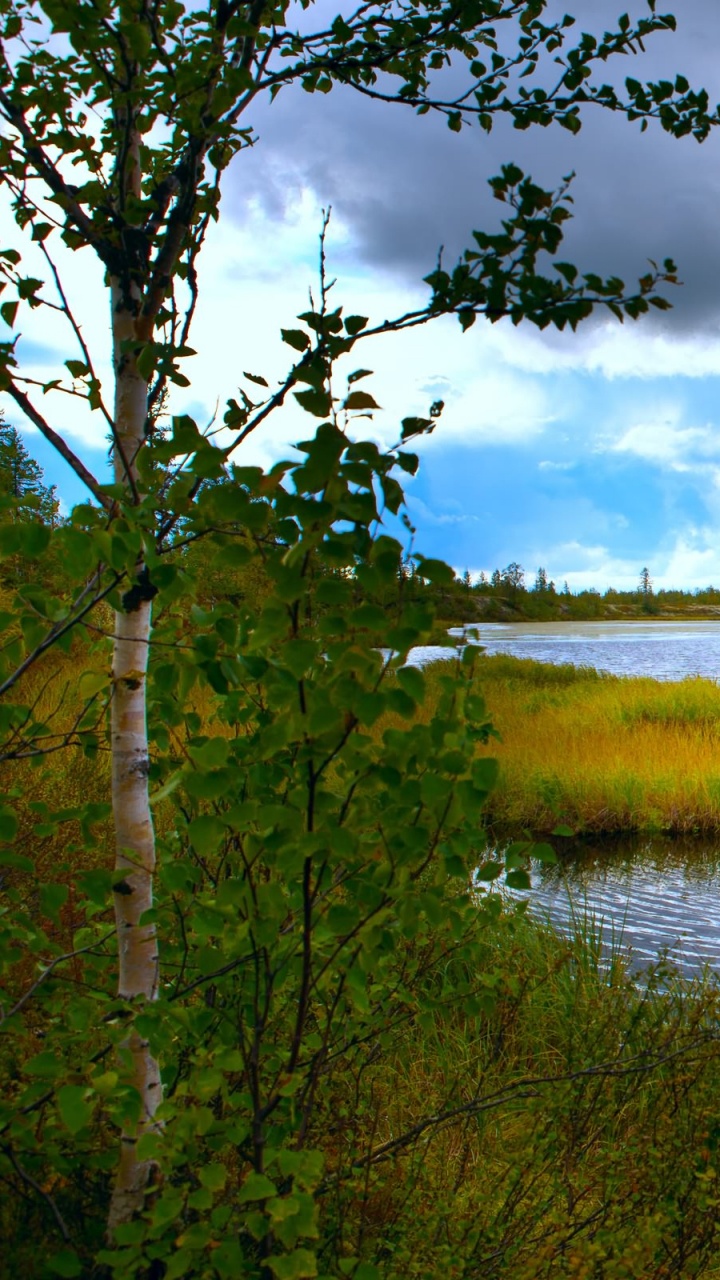Green Grass Near Body of Water Under Cloudy Sky During Daytime. Wallpaper in 720x1280 Resolution