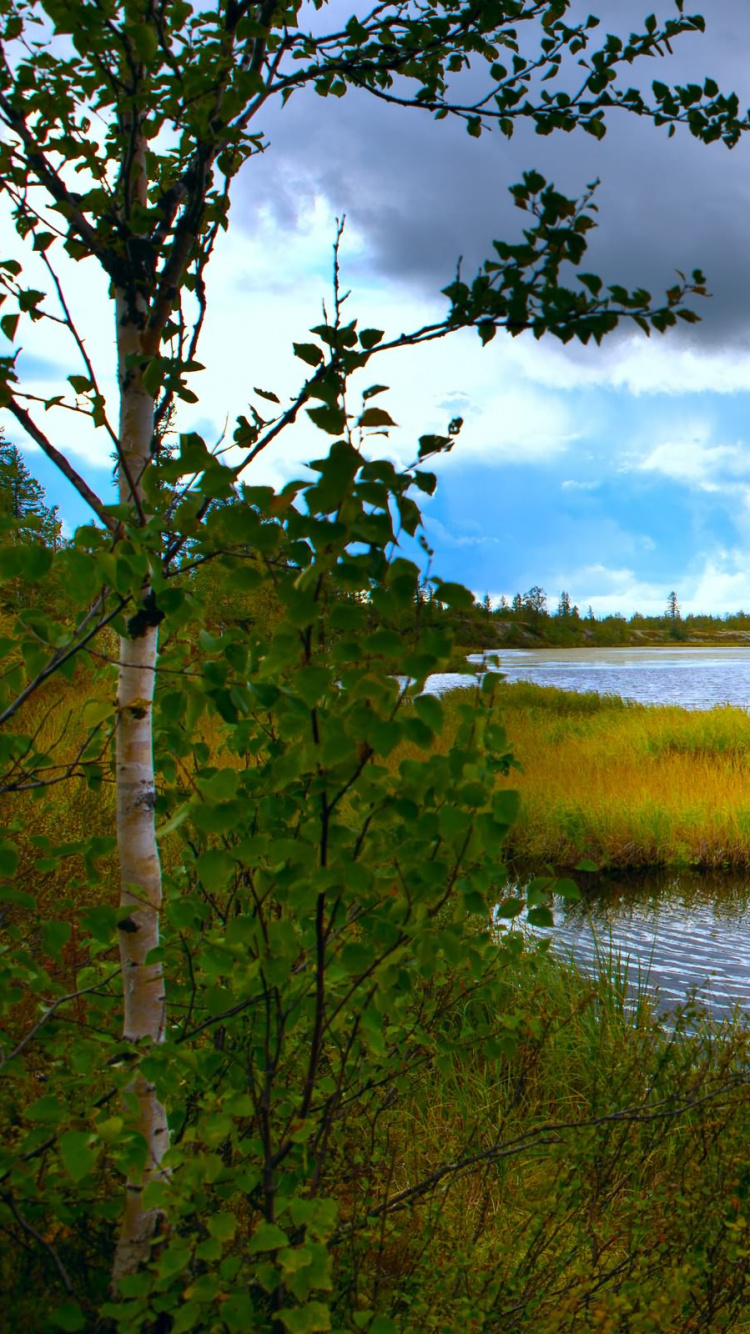 Green Grass Near Body of Water Under Cloudy Sky During Daytime. Wallpaper in 750x1334 Resolution