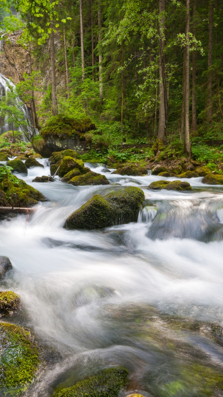 Water Falls in The Middle of The Forest. Wallpaper in 720x1280 Resolution