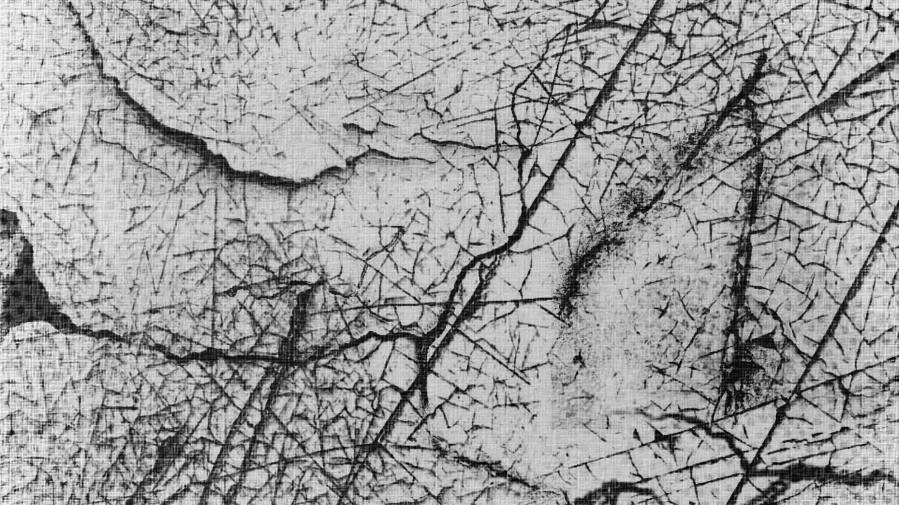 Photo en Niveaux de Gris D'un Arbre Sans Feuilles. Wallpaper in 1280x720 Resolution