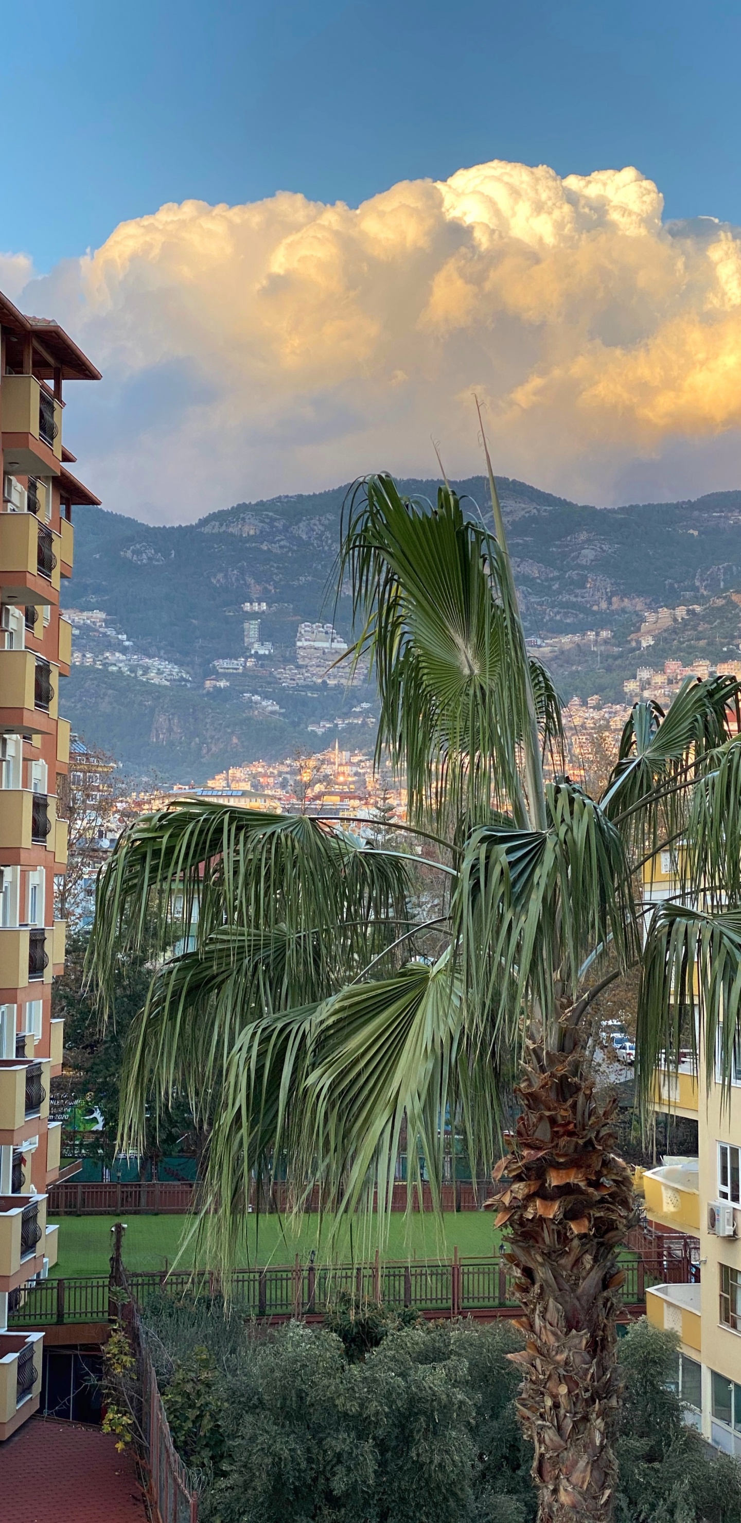 Bâtiment, Azure, Fenêtre, Tour de Bloc, Végétation. Wallpaper in 1440x2960 Resolution