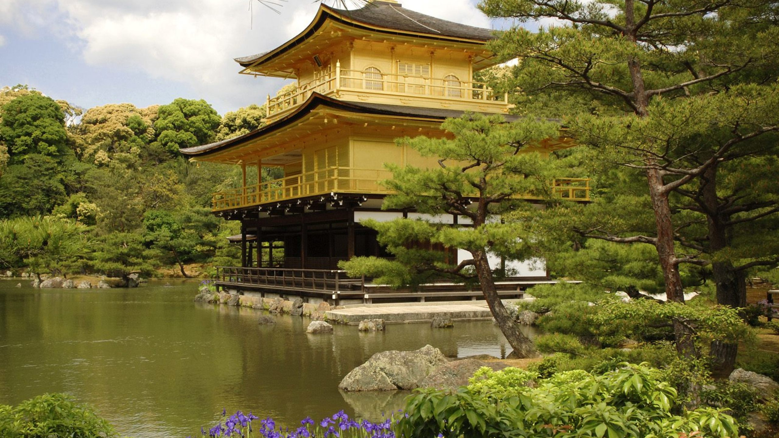 清水寺, 日本建筑, 中国建筑, 花园, 植物园 壁纸 2560x1440 允许