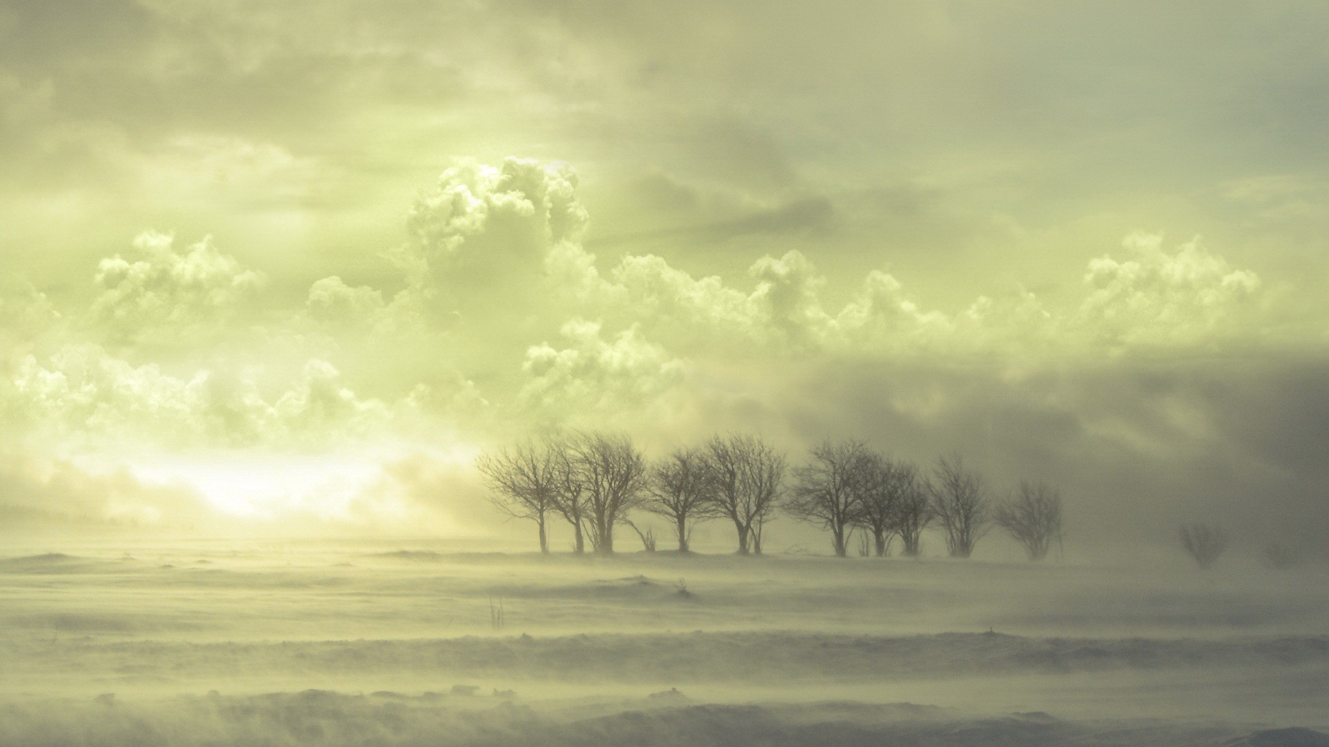 Leafless Tree on White Snow Covered Field During Daytime. Wallpaper in 1920x1080 Resolution