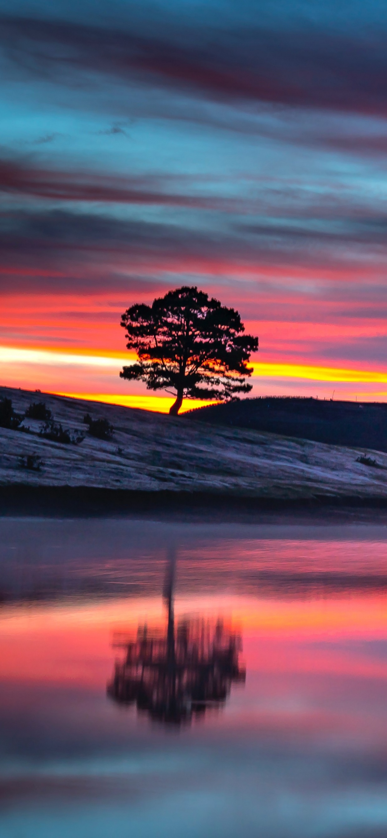 Blaues Wasser Hospiz Nach Hause, Cloud, Wasser, Atmosphäre, Naturlandschaft. Wallpaper in 1242x2688 Resolution
