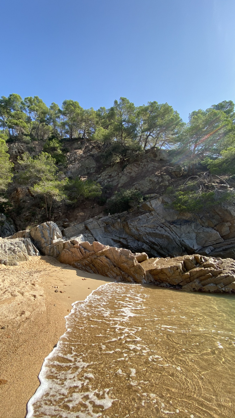 Costa, Geología, Afloramiento, Arena, Orilla. Wallpaper in 750x1334 Resolution