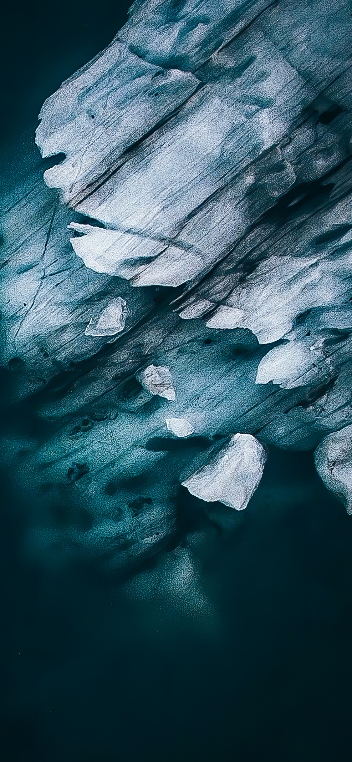 Linens, M-027, Plant, Water, Cloud. Wallpaper in 1125x2436 Resolution