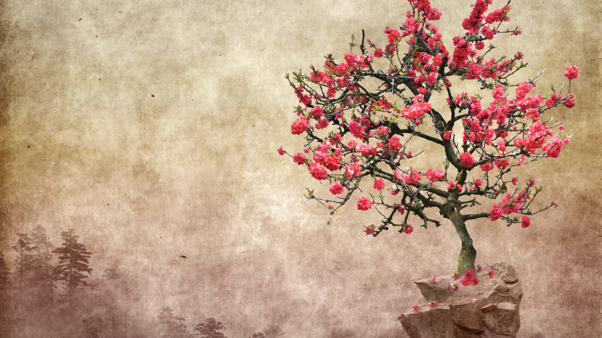 开花, 樱花, 粉红色, 弹簧, 转移 壁纸 1920x1080 允许