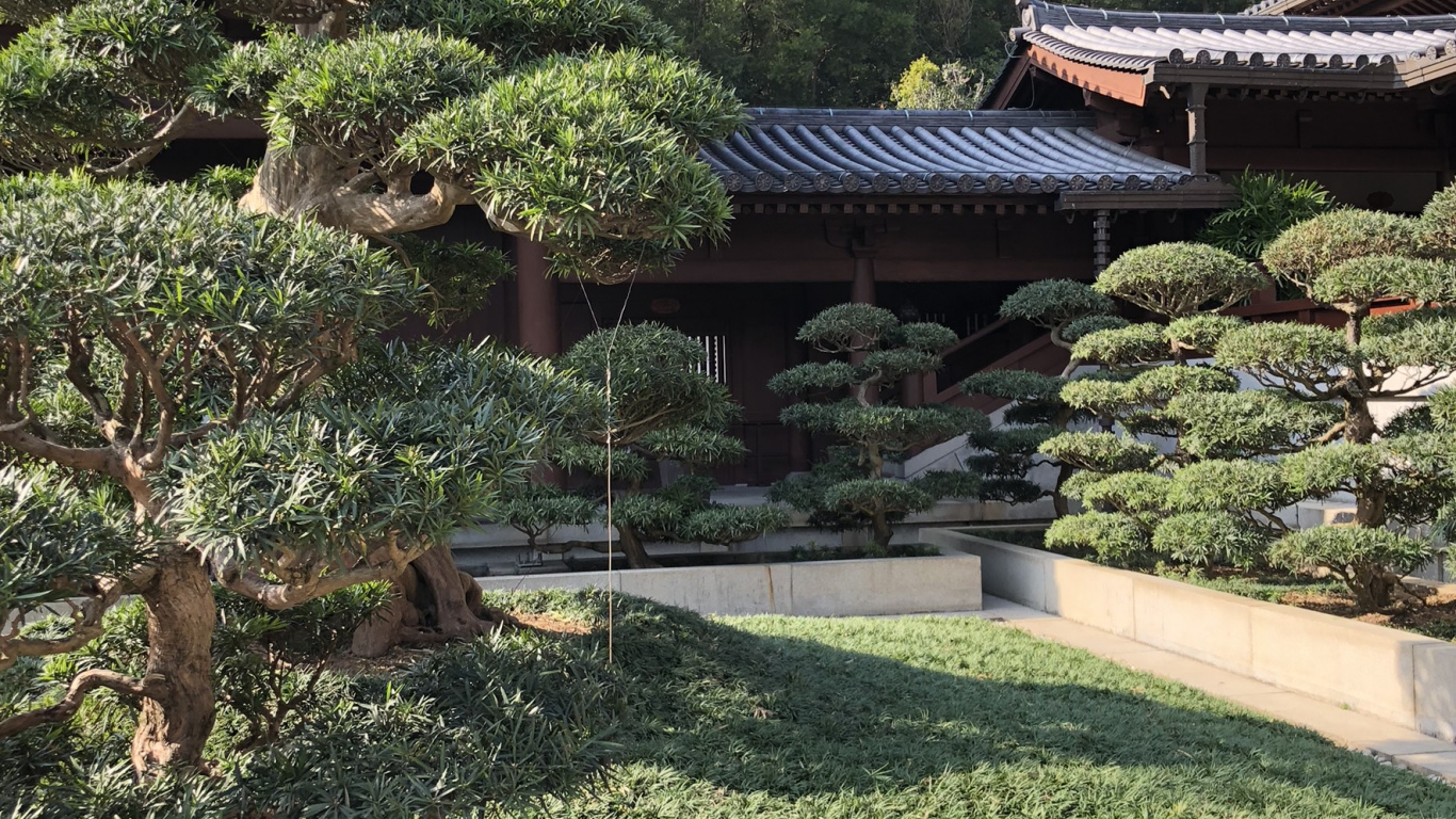 香港, 植被, 中国建筑, 灌木, 花园 壁纸 1366x768 允许