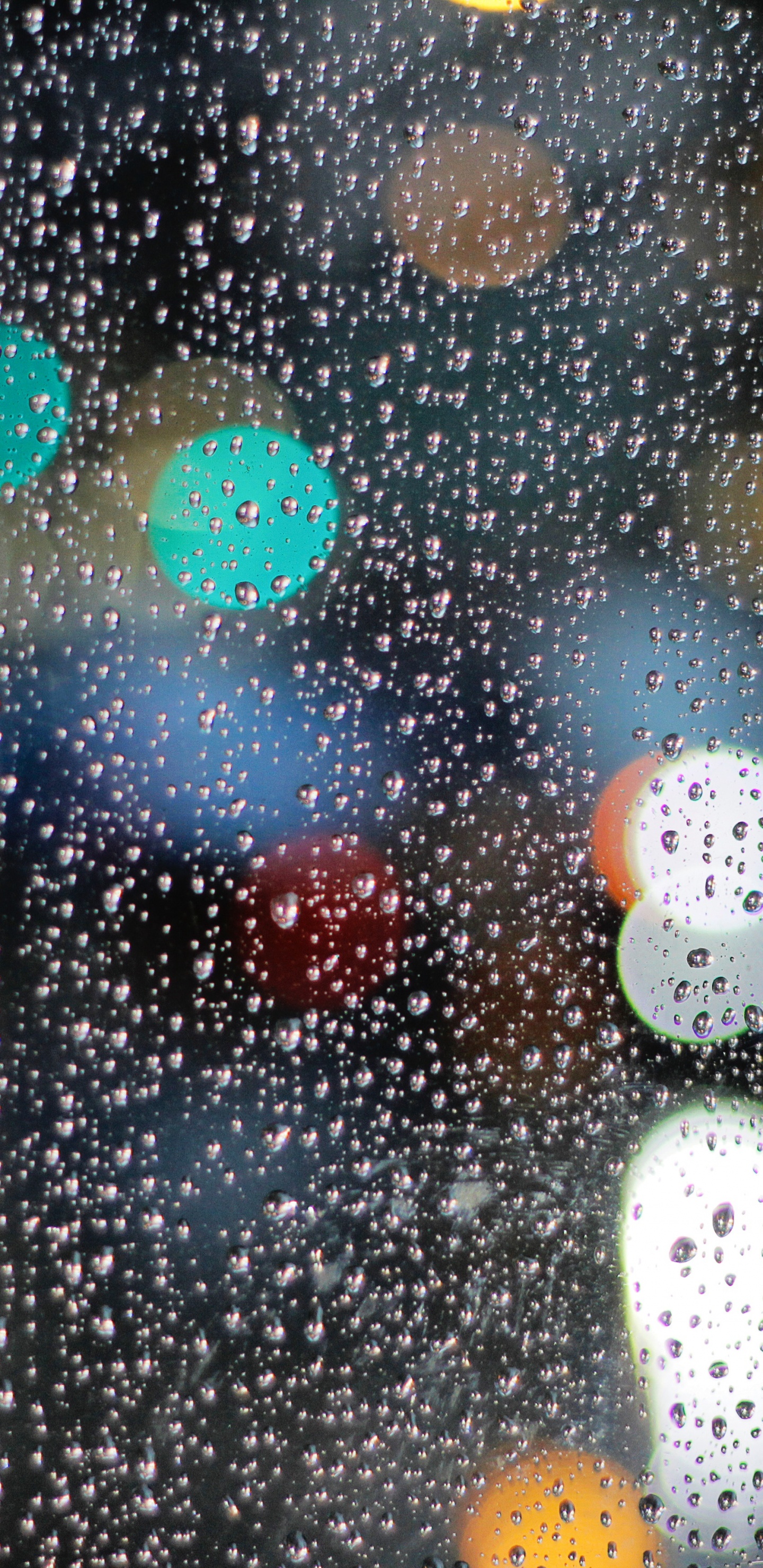 Gouttes D'eau Sur la Vitre. Wallpaper in 1440x2960 Resolution
