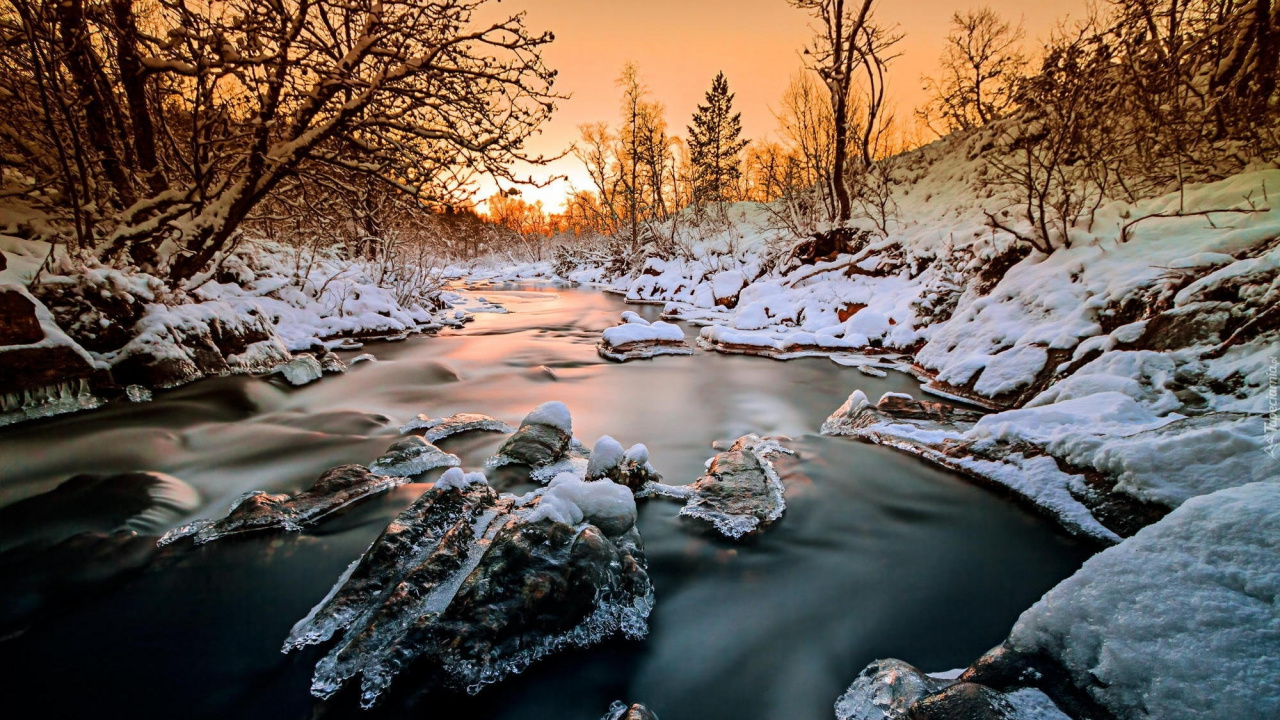 Body of Water Between Trees During Daytime. Wallpaper in 1280x720 Resolution