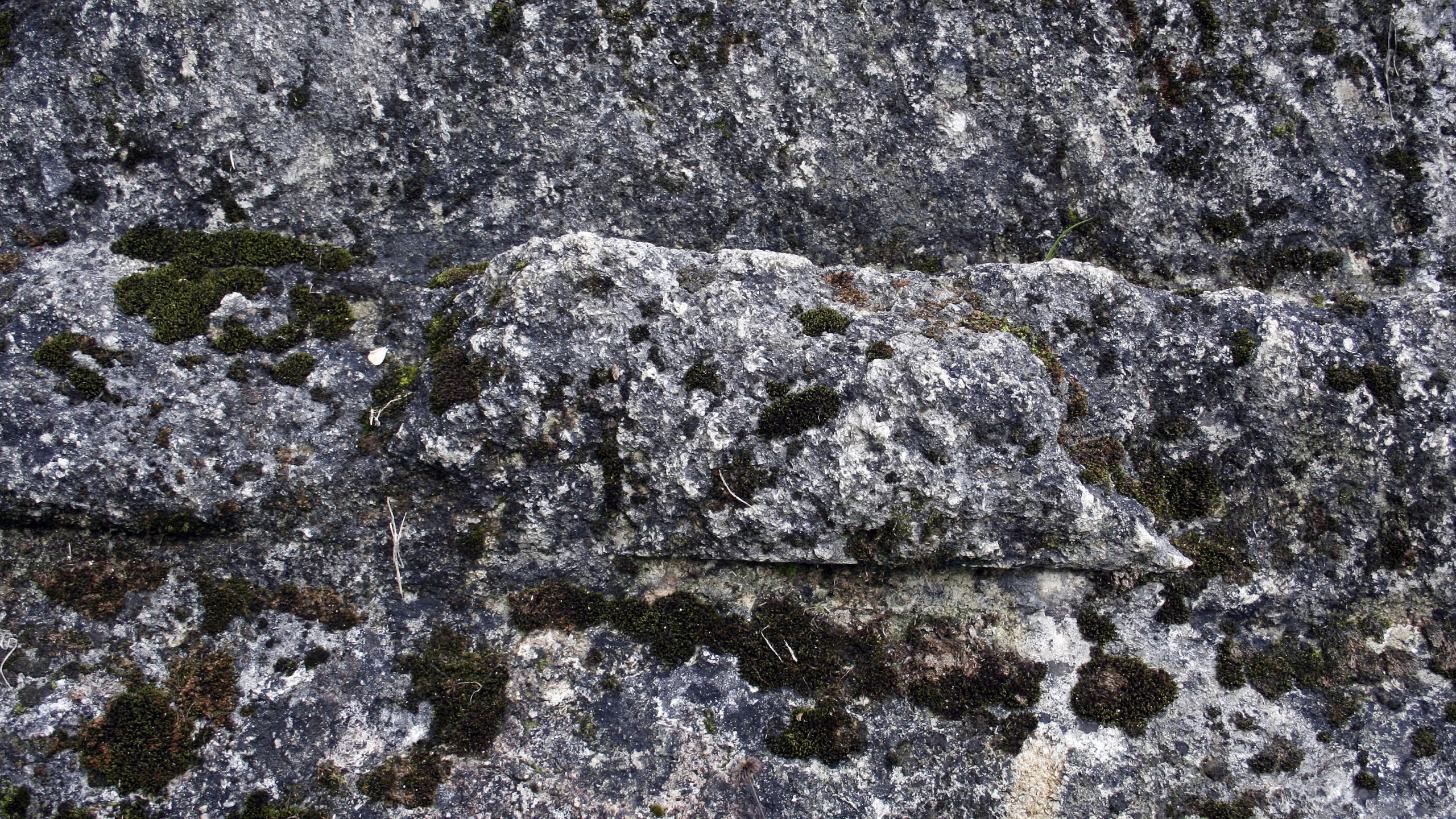 Graue Und Schwarze Felsformation. Wallpaper in 2560x1440 Resolution