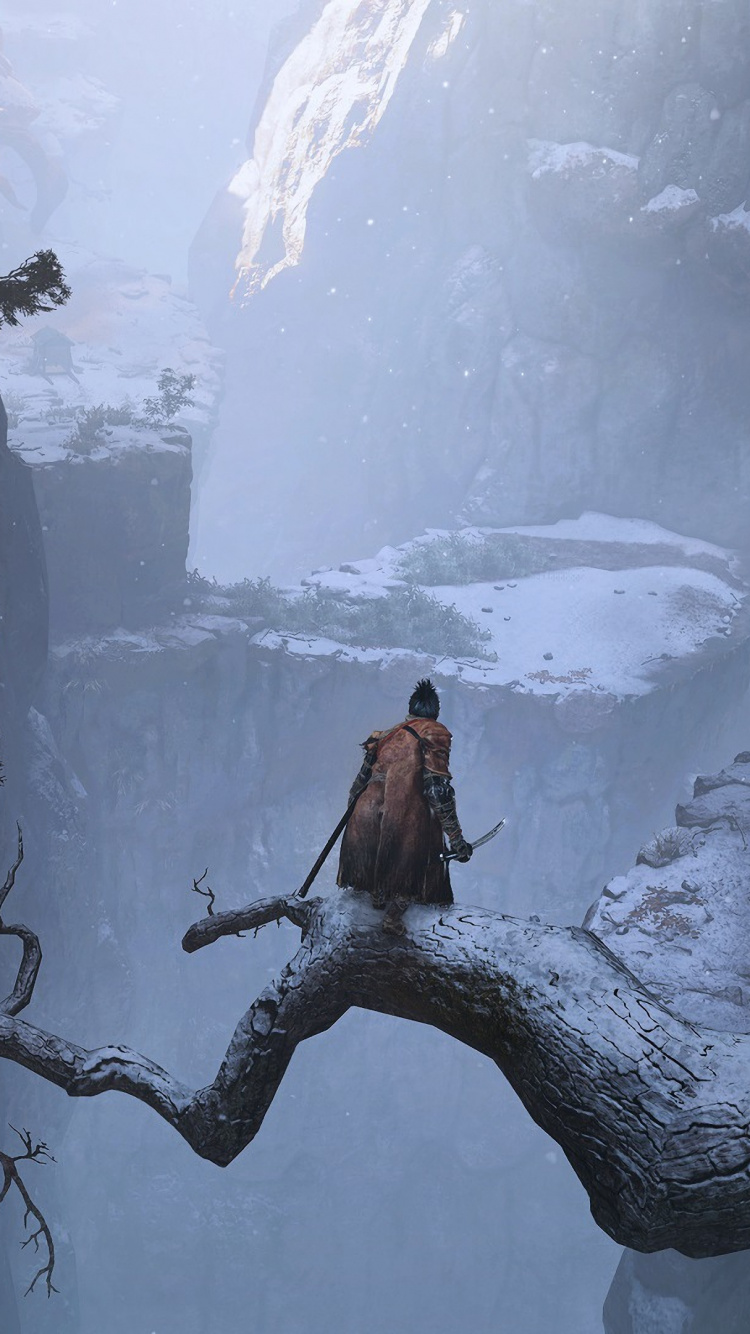 Sekiro: Shadows Die Twice, Transmissibles Par le Sang, Dark Souls, Dark Souls Iii, Jeu D'infiltration. Wallpaper in 750x1334 Resolution
