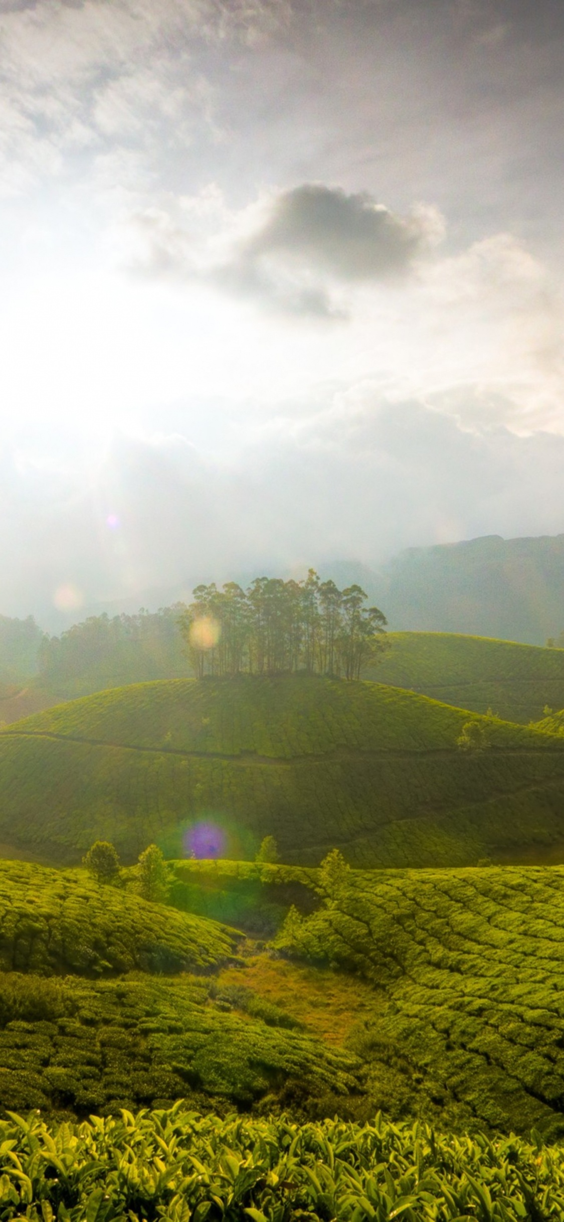 Tagsüber Grüne Wiese Unter Bewölktem Himmel. Wallpaper in 1125x2436 Resolution