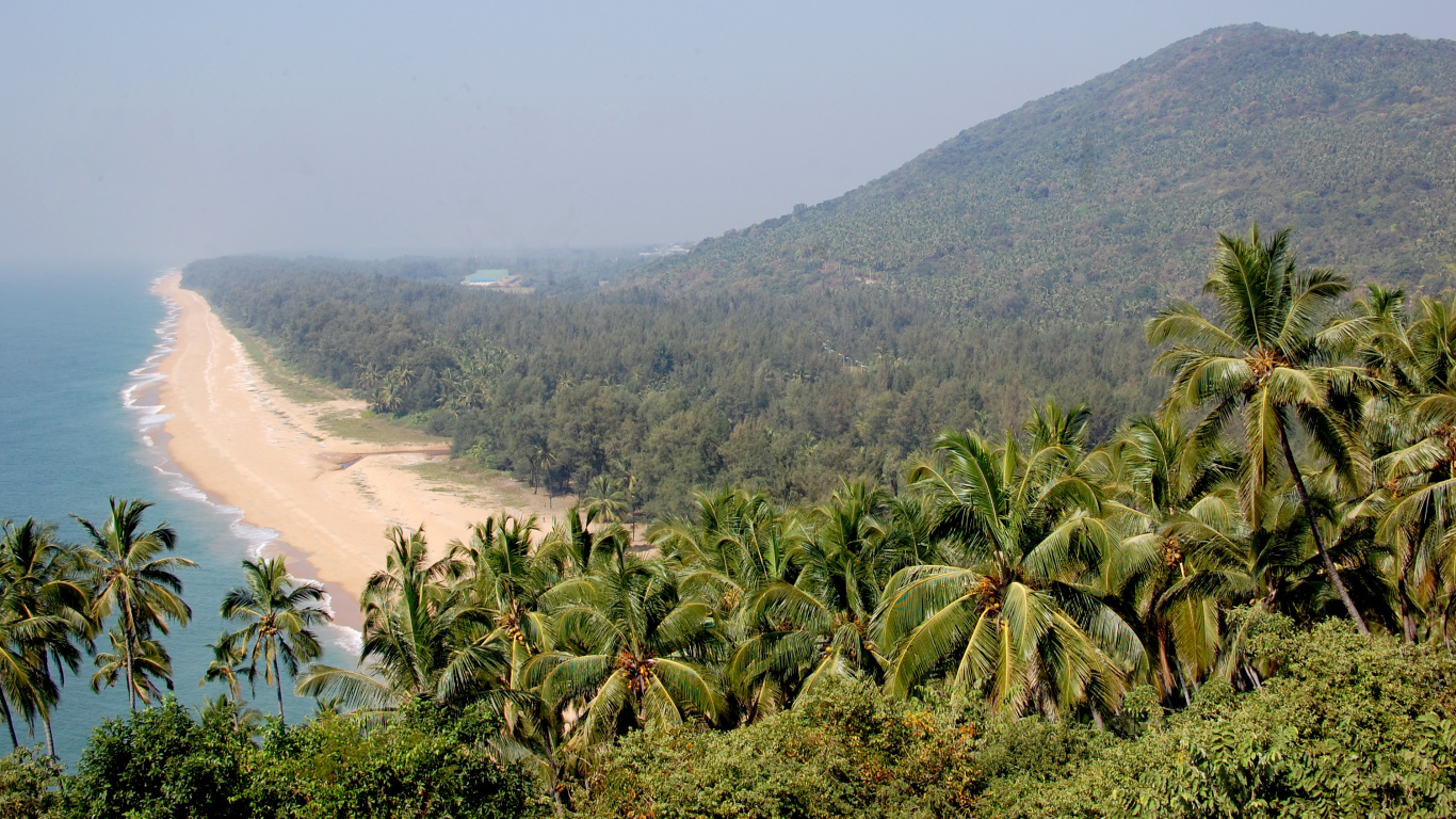 Green Palm Trees on Brown Sand Beach During Daytime. Wallpaper in 1366x768 Resolution