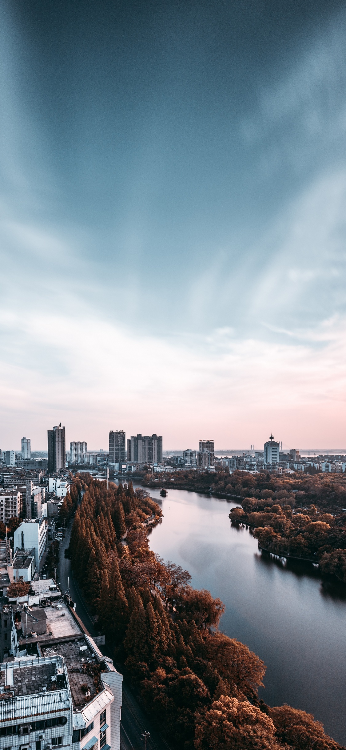 City Skyline Under Blue Sky During Daytime. Wallpaper in 1125x2436 Resolution