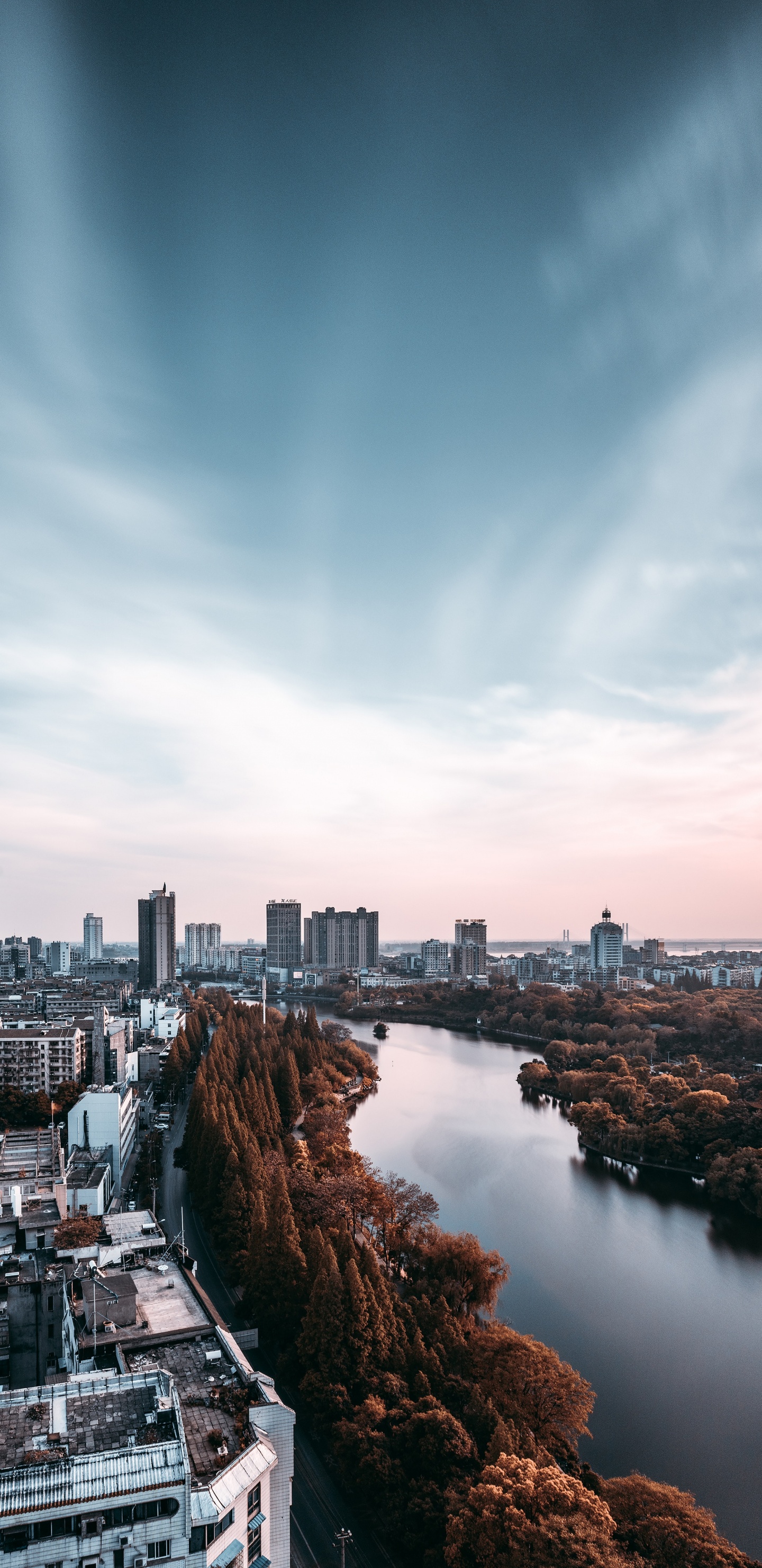 City Skyline Under Blue Sky During Daytime. Wallpaper in 1440x2960 Resolution