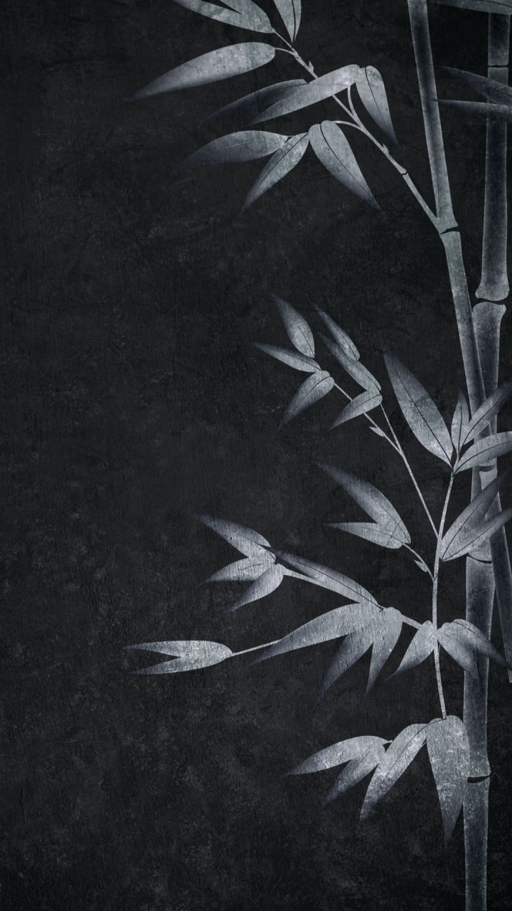 Arts Visuels, Noir et Blanc, Art, Plante Terrestre, Gris. Wallpaper in 720x1280 Resolution