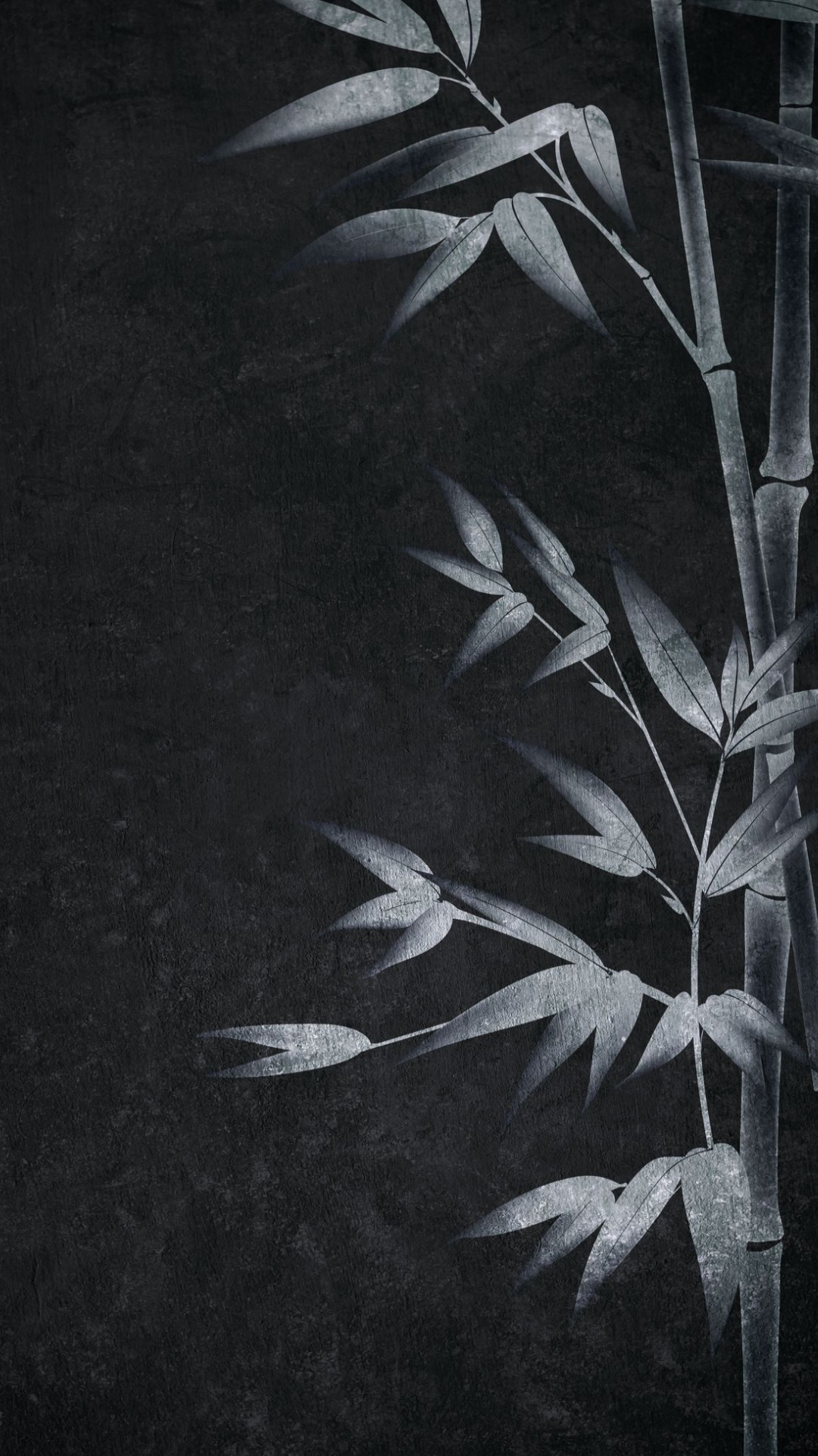 Visual Arts, Black and White, Art, Branch, Terrestrial Plant. Wallpaper in 1080x1920 Resolution