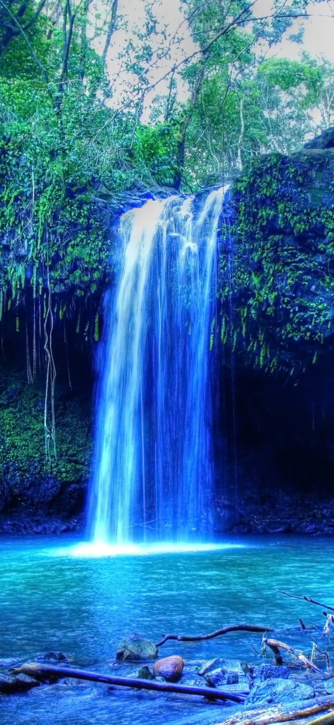 Water Falls in The Forest. Wallpaper in 1125x2436 Resolution
