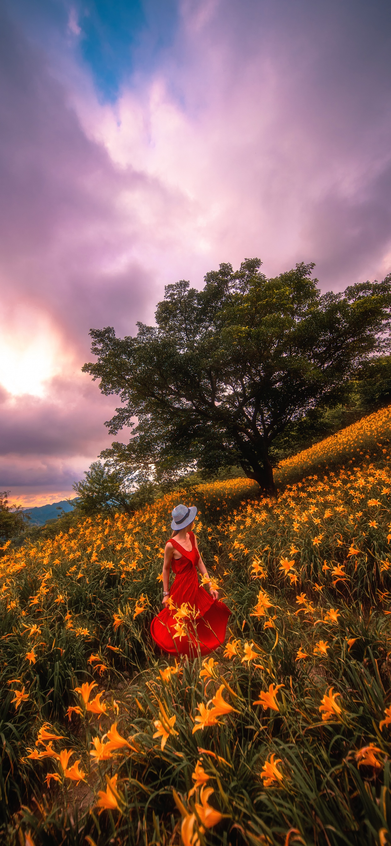Mujer en Vestido Rojo de Pie en el Campo de Flores Amarillas Durante el Día. Wallpaper in 1242x2688 Resolution
