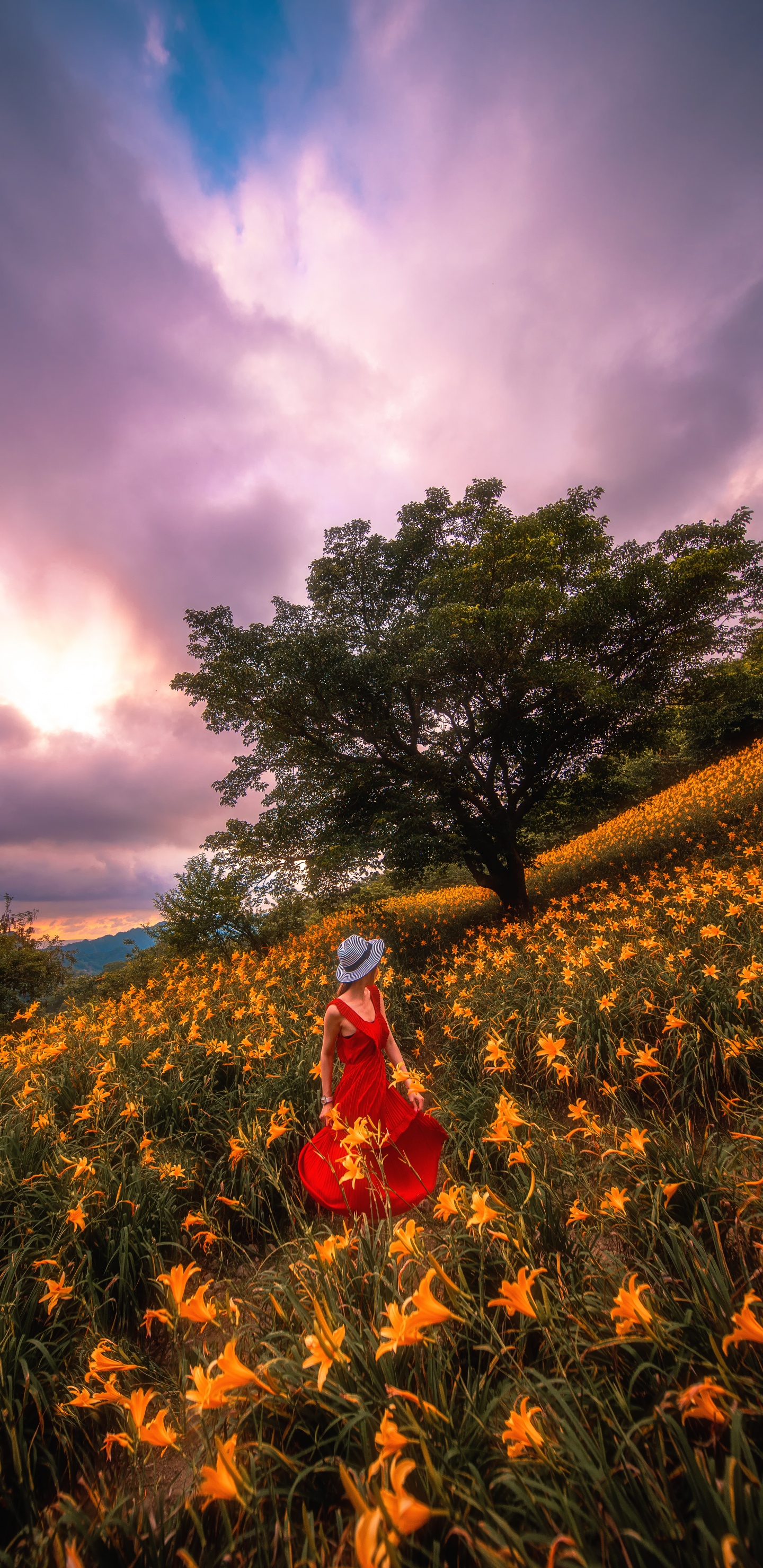 Woman in Red Dress Standing on Yellow Flower Field During Daytime. Wallpaper in 1440x2960 Resolution