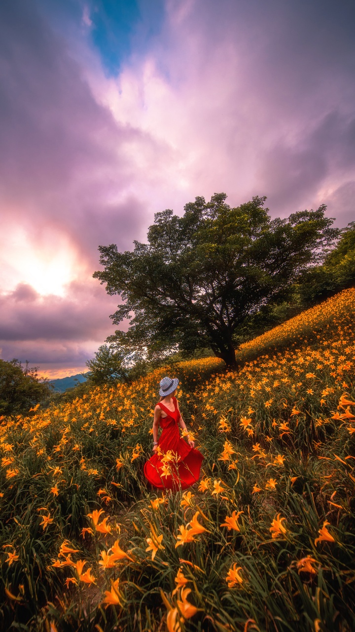 Woman in Red Dress Standing on Yellow Flower Field During Daytime. Wallpaper in 720x1280 Resolution