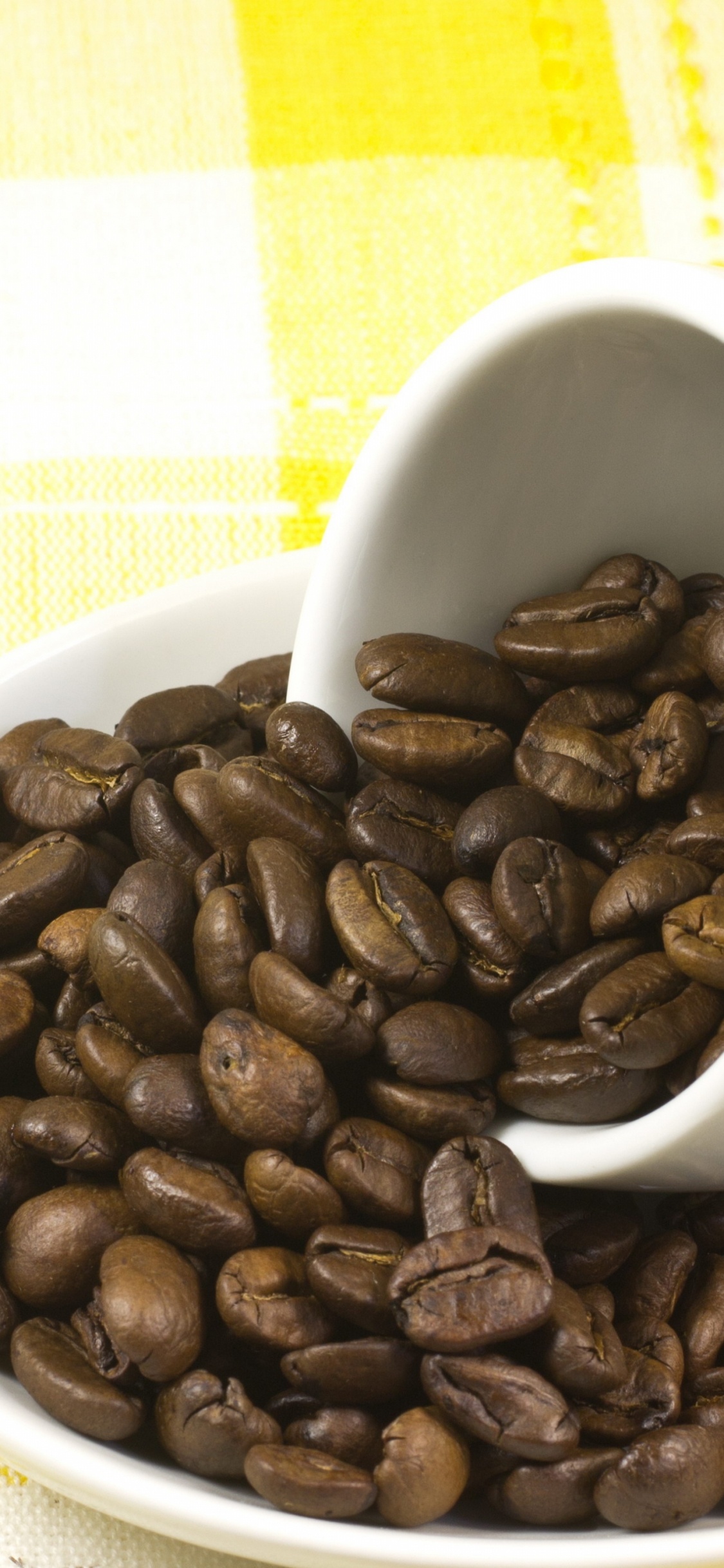 Grains de Café Sur Une Tasse en Céramique Blanche. Wallpaper in 1125x2436 Resolution