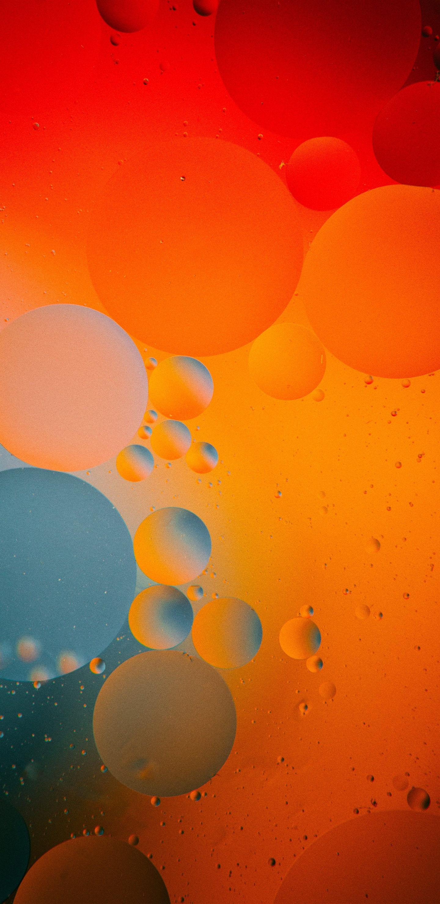 Apple, IOS, la Pureté de la Couleur, Liquid, Eau. Wallpaper in 1440x2960 Resolution