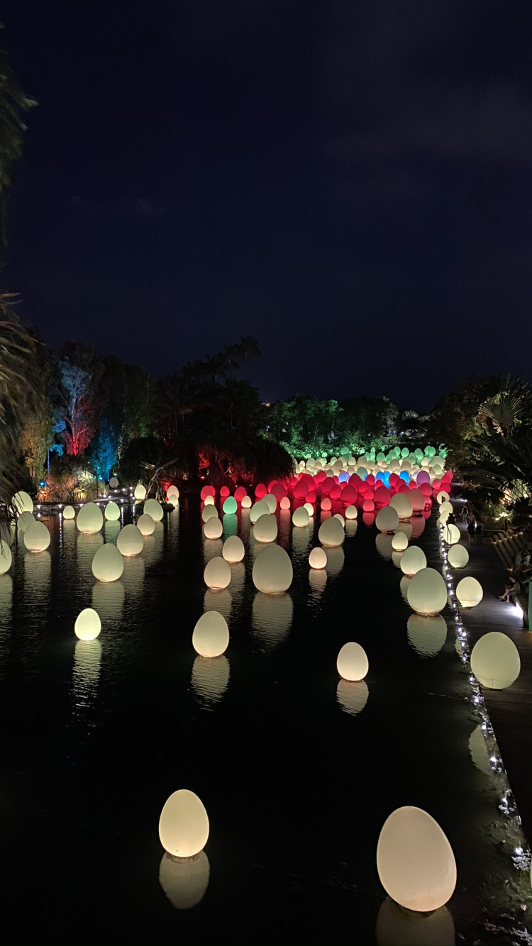 Singapore, Reflection, Water, Landscape Lighting, Night. Wallpaper in 750x1334 Resolution