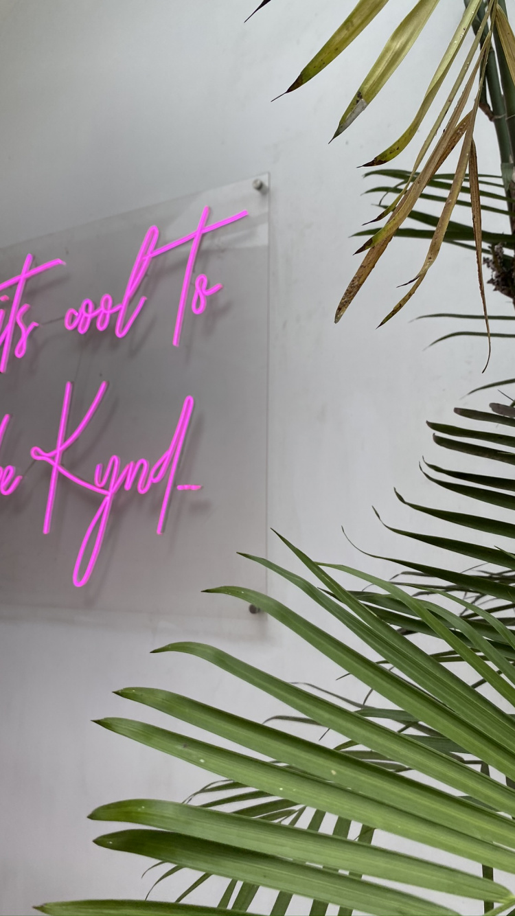 Feuille, Tige de la Plante, Palmier, Rameau, Biologie. Wallpaper in 750x1334 Resolution