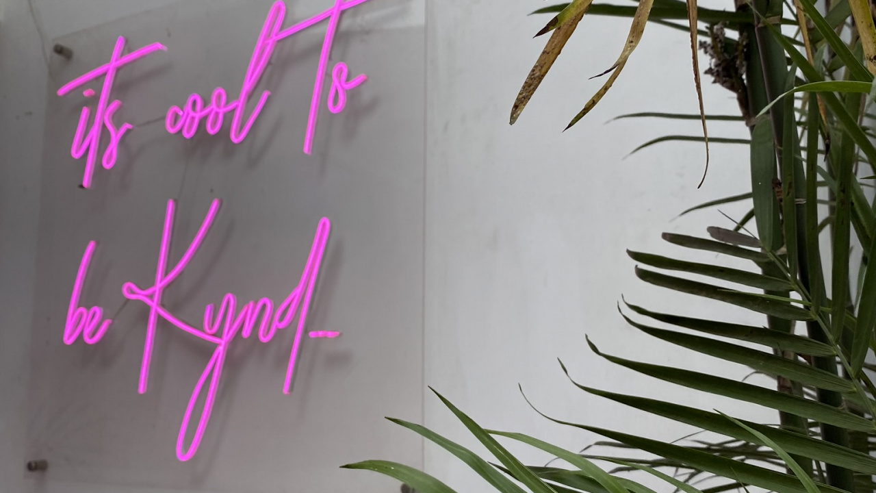 Leaf, Plant Stem, Palm Trees, Twig, Biology. Wallpaper in 1280x720 Resolution