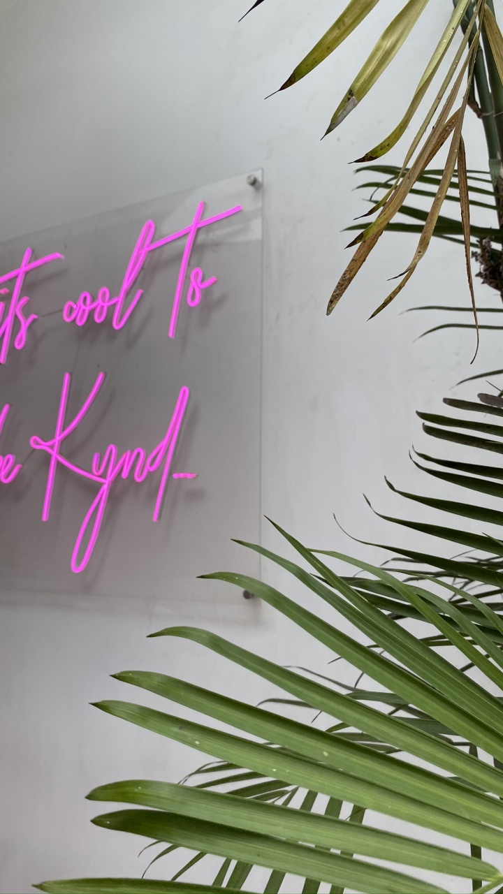 Leaf, Plant Stem, Palm Trees, Twig, Biology. Wallpaper in 720x1280 Resolution