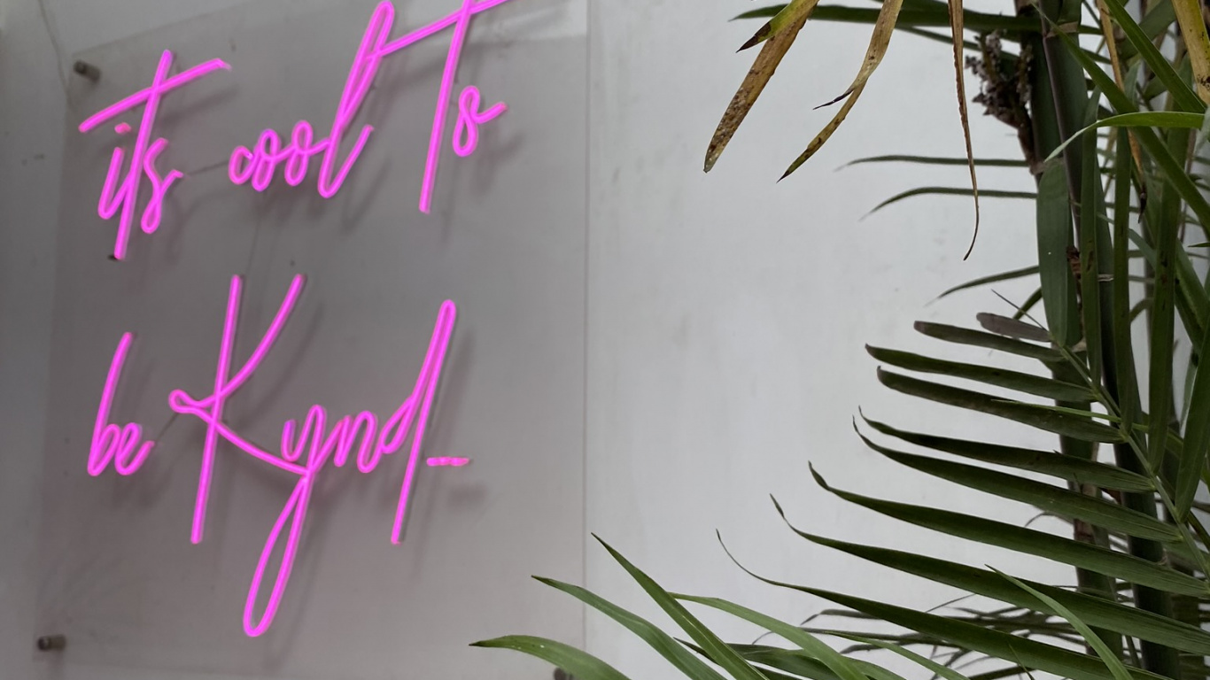 Tallo de la Planta, Palmera, Ramita, Biología, Sucursal. Wallpaper in 1366x768 Resolution