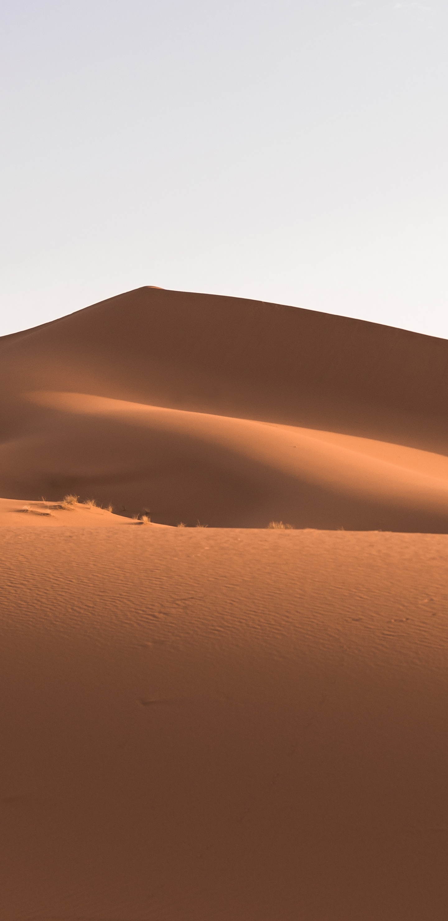 Desierto Bajo un Cielo Azul Durante el Día. Wallpaper in 1440x2960 Resolution
