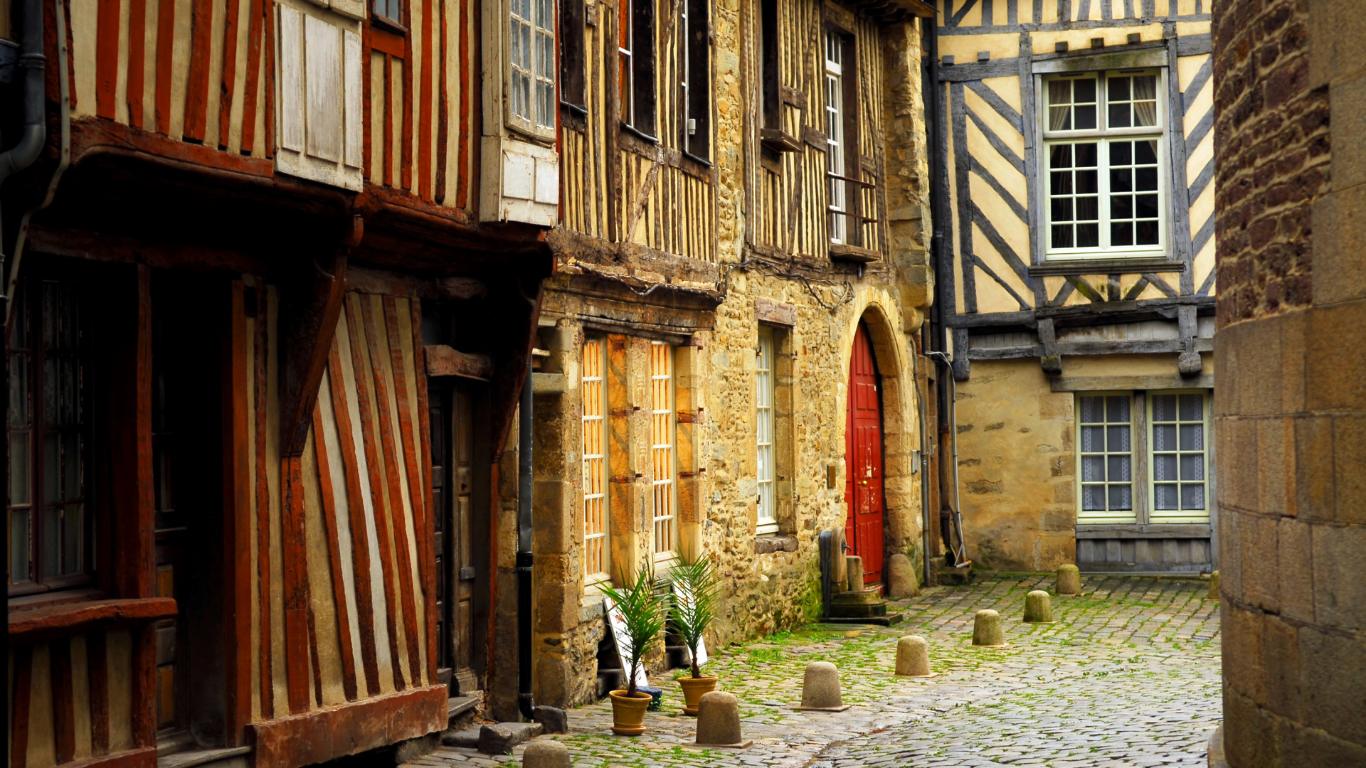 Braune Holztür in Der Nähe Von Grünen Pflanzen. Wallpaper in 1920x1080 Resolution