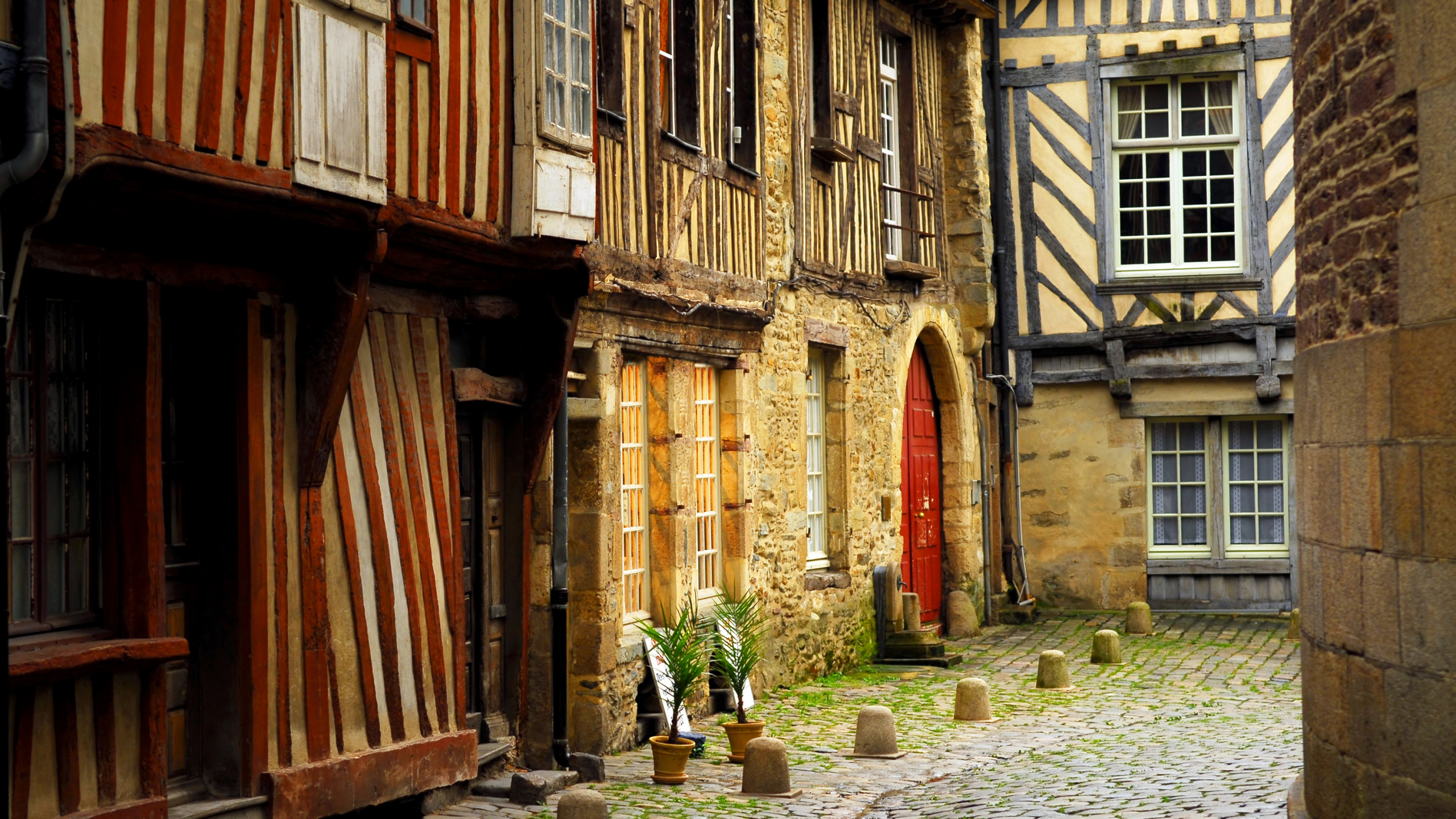 Braune Holztür in Der Nähe Von Grünen Pflanzen. Wallpaper in 2560x1440 Resolution