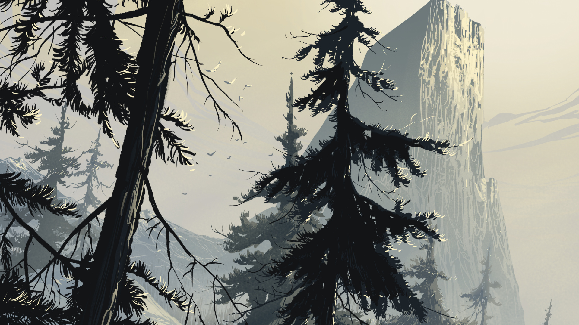 艺术, 云杉, 森林, 冬天, 木本植物 壁纸 1920x1080 允许