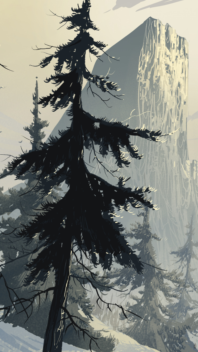 艺术, 云杉, 森林, 冬天, 木本植物 壁纸 750x1334 允许